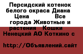 Персидский котенок белого окраса Диана › Цена ­ 40 000 - Все города Животные и растения » Кошки   . Ненецкий АО,Коткино с.